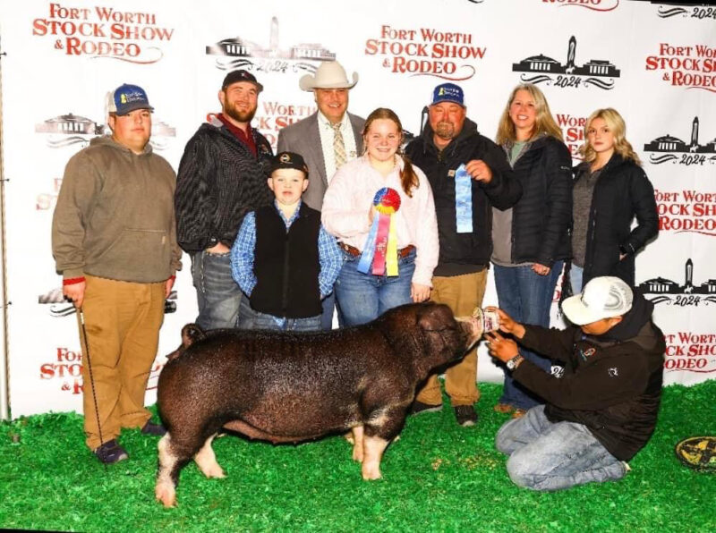 Champion Poland Gilt