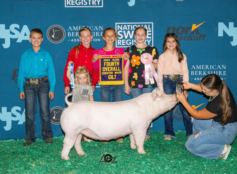 4th Overall Chester Gilt