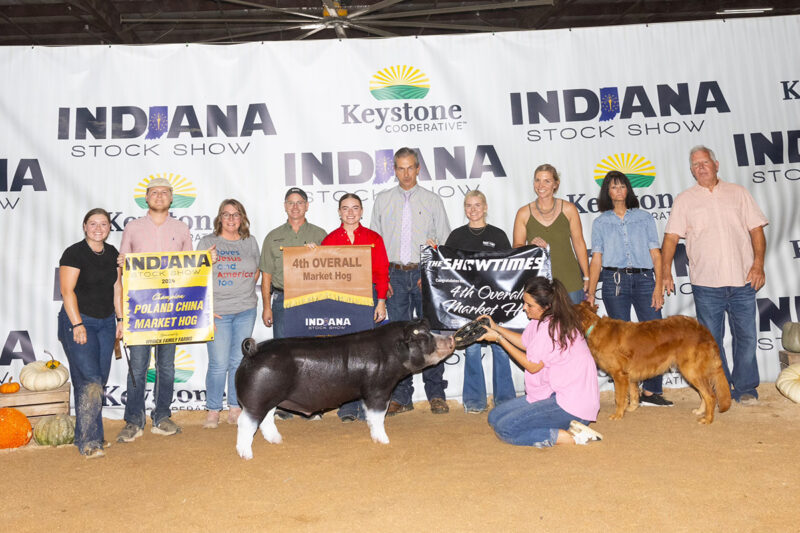 4th Overall Market Hog & Champion Poland Barrow
