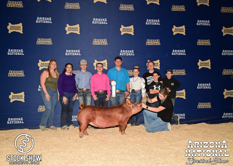 3rd Overall Tamworth Gilt