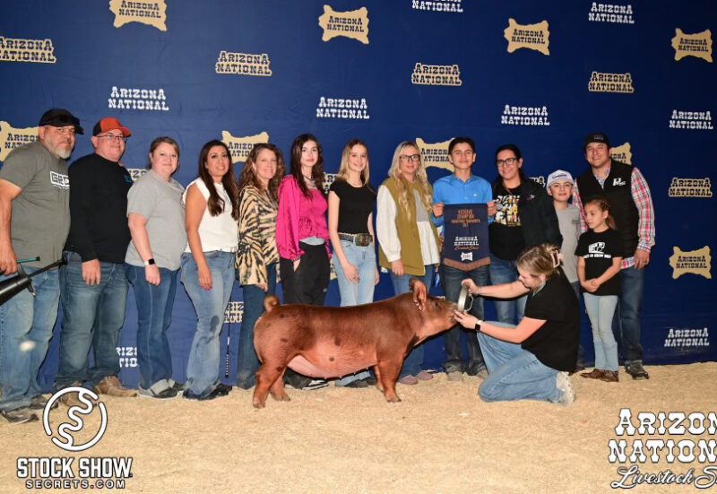 Reserve Tamworth Gilt