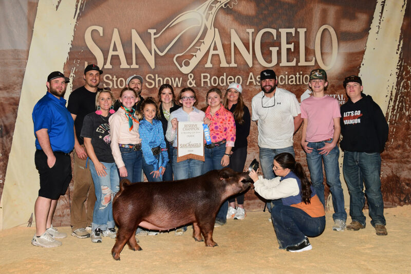Reserve Duroc Gilt