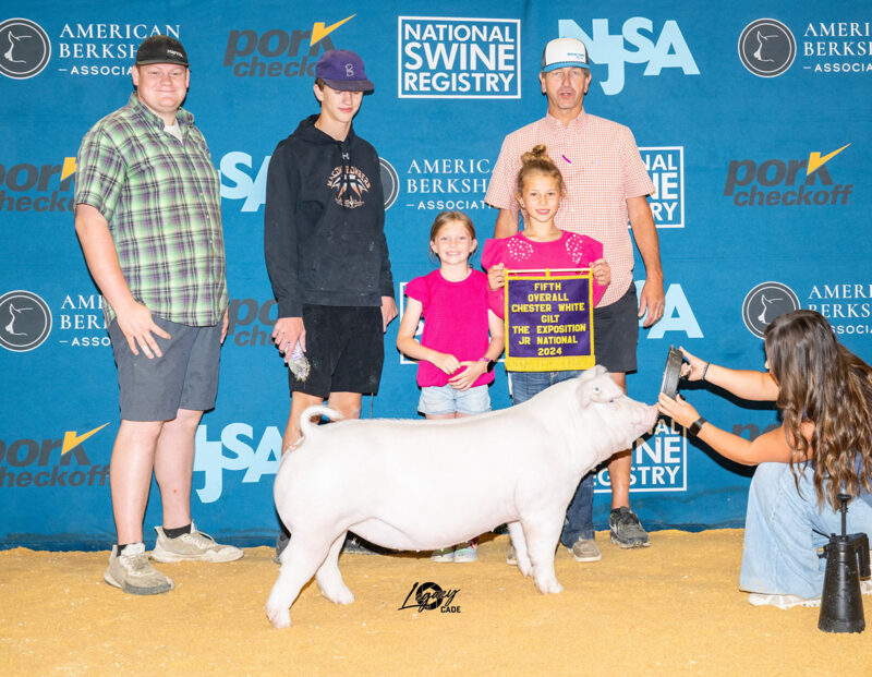 5th Overall Chester Gilt