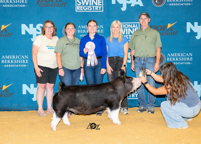 Reserve Division 1 Berkshire Gilt