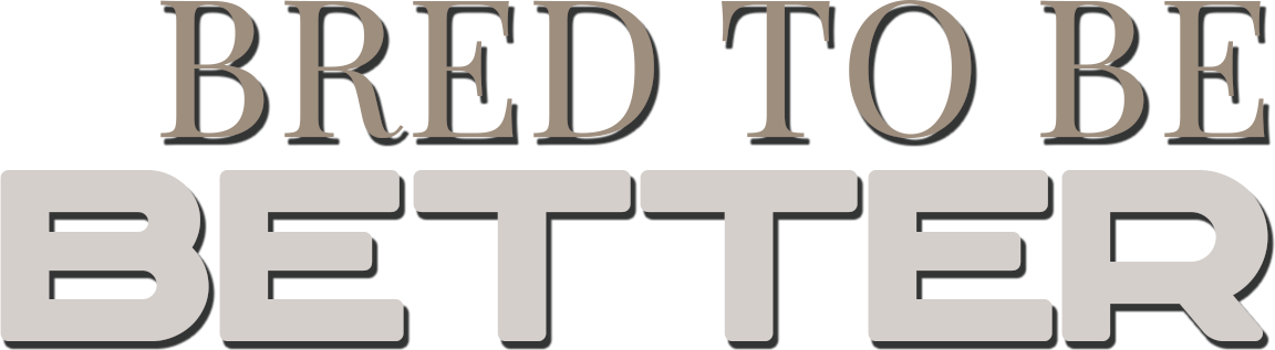 Bred to Be Better - Brattain Farms Showpigs