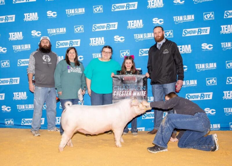 Reserve Chester Gilt