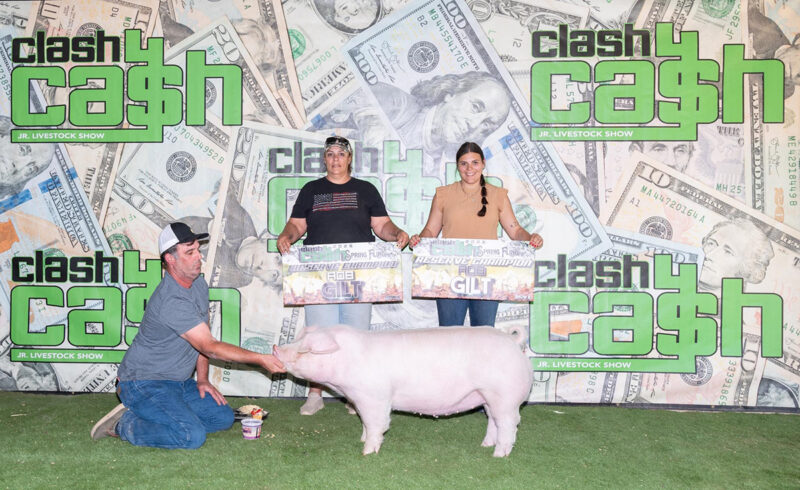 Reserve Champion AOB