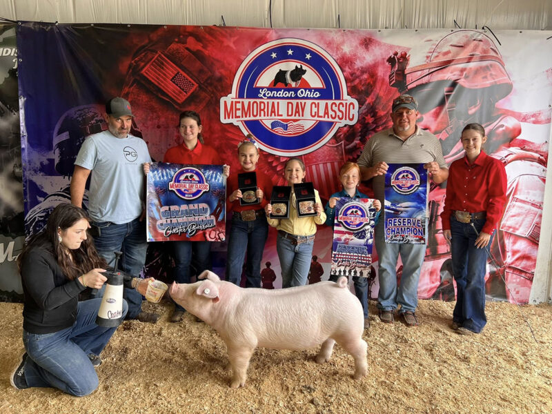 Champion Chester Barrow