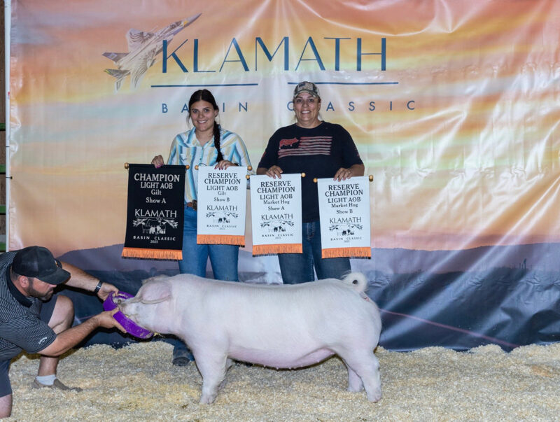 Champion Light OPB Gilt