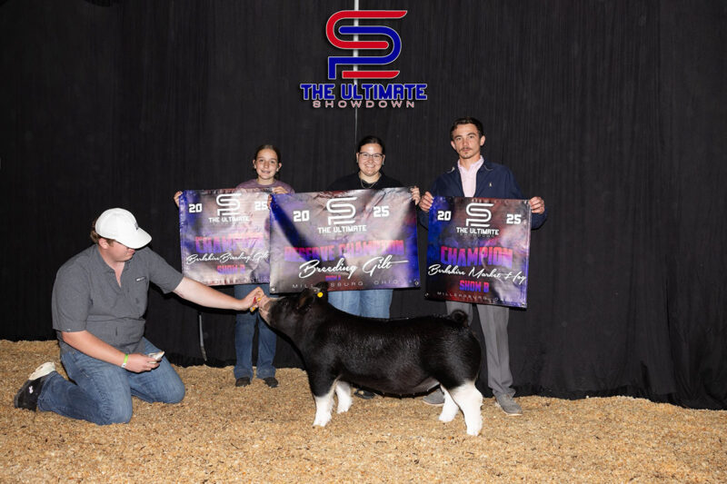 Reserve Grand Gilt and Champion Berkshire
