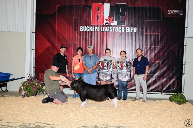3rd Overall Breeding Gilt and Reserve Berkshire