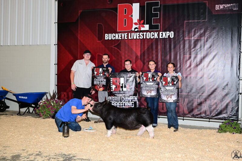 Reserve Grand Breeding Gilt and Champion Berkshire