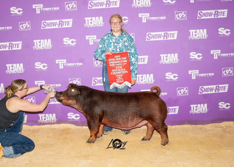 5th Overall Duroc Gilt