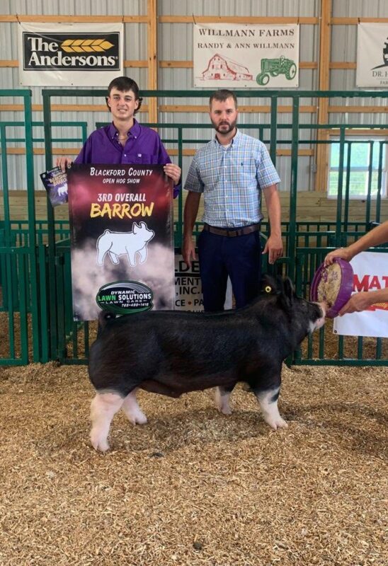 3rd Overall Barrow and Champion Berkshire