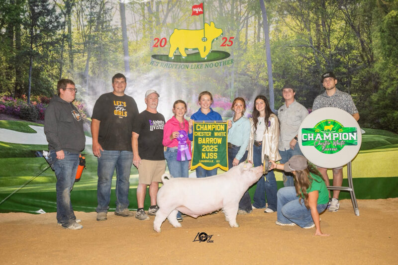 Champion Chester Barrow