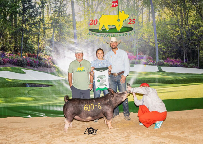 Reserve Berkshire Gilt