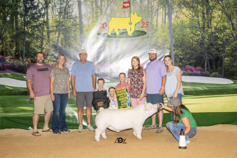 Reserve Landrace Barrow