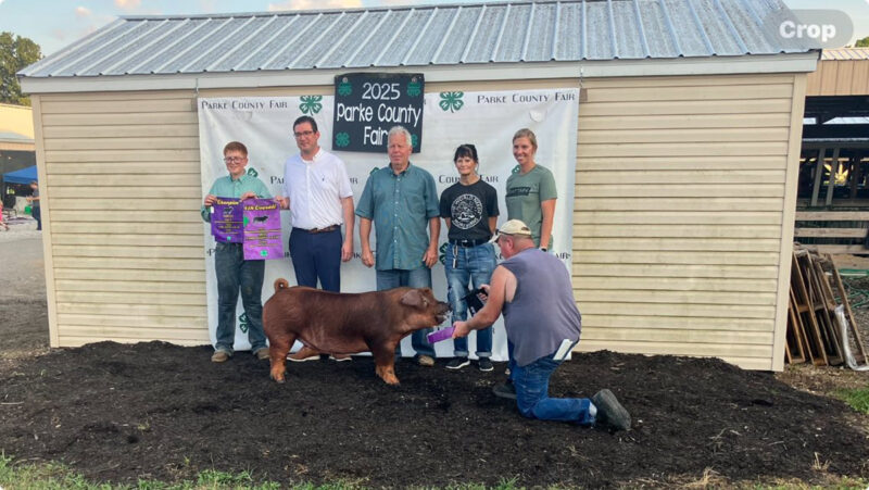 4th Overall Gilt and Champion Duroc