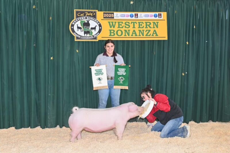 3rd Overall White OPB