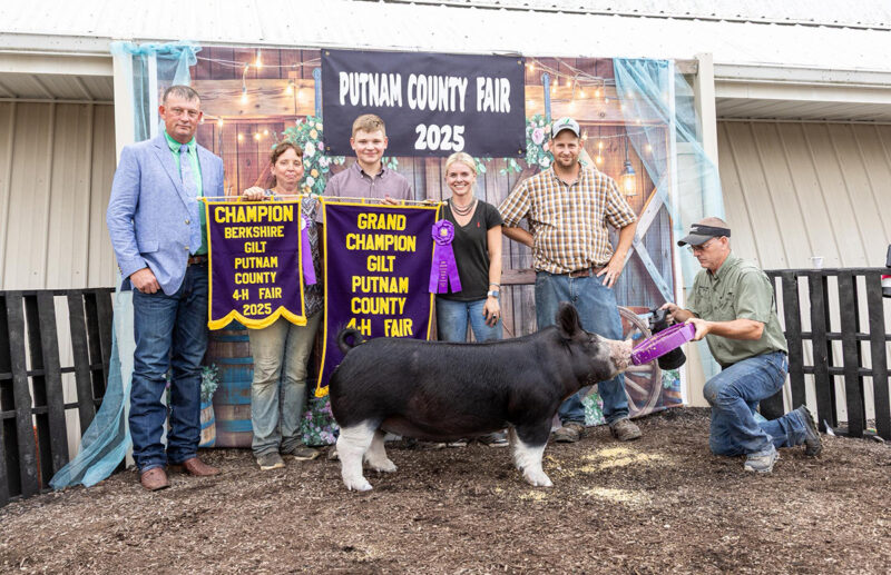 Grand Champion Gilt and Champion Berkshire