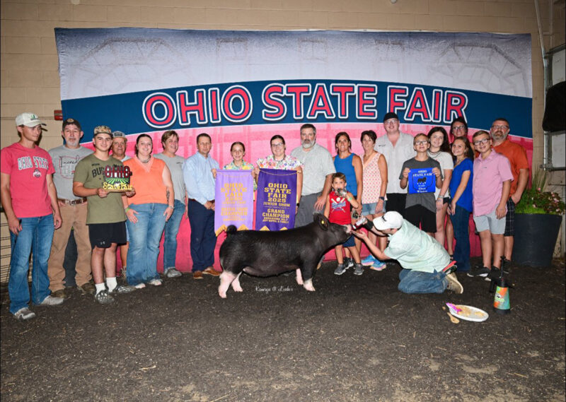 Reserve Grand Gilt and Champion Berkshire
