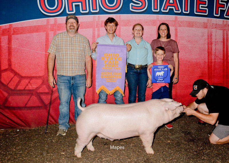 Reserve Landrace Barrow
