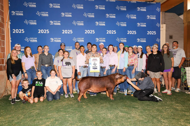 Reserve Champion Duroc Gilt