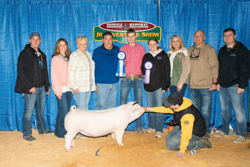Champion AOB Gilt
